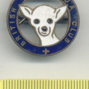 British Chihuahua Dog Club