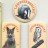 Leicestershire Wildlife & county promotional 1980s