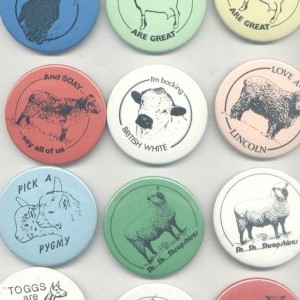 Rare Breeds Survival Trust 