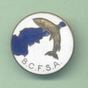 BCFSA Bristol Channel Federation of Sea Angling