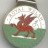 Royal Welsh Agricultural Society