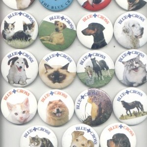 Blue Cross Animal Sanctuary