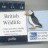 RSPB-Puffin Badge