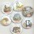 Set of Golden Wonder crisps RSPCA British Wildlife campaign