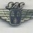 SAS Scandinavian Airlines wings
