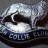 british collie club 