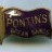 Pontin's Brean Sands