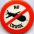 No Cruise
