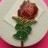 Macmillan Cancer Pin Badge - Burgundy Rose