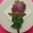Macmillan Cancer - Mauve Rose