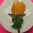 Macmillan Cancer - Orange Rose
