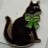 Macmillan Cancer - Black Cat