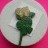 Macmillan Cancer - Twin Cream Roses
