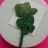 Macmillan Cancer - Twin Green Roses