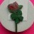 Macmillan Cancer - Twin Red Roses