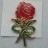 Macmillan Cancer - Red Rose