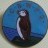 CBWPS Cornwall Bird Watching & Preservation society Puffin